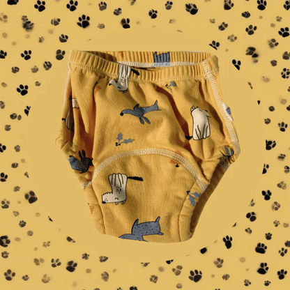 TrainBuddie Potty Training Underwear