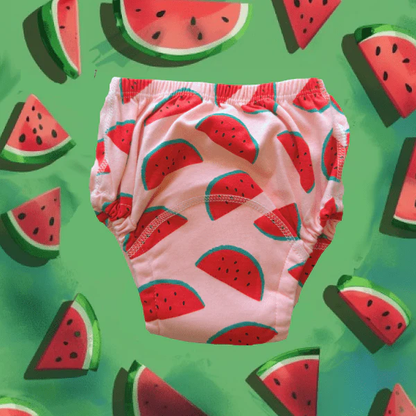 TrainBuddie Potty Training Underwear